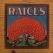 Raices - Raices