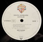 David Sanborn - Voyeur