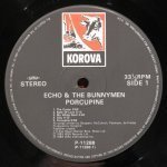 Echo & The Bunnymen - Porcupine