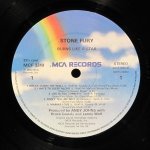 Stone Fury (Lenny Wolf /Kingdom Come/) - Burns Like A Star