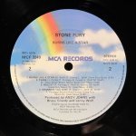 Stone Fury (Lenny Wolf /Kingdom Come/) - Burns Like A Star