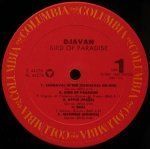 Djavan - Bird Of Paradise
