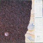 Harold Budd / Brian Eno / Daniel Lanois - The Pearl
