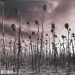 Dead Can Dance - Anastasis