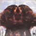 Flora Purim - Butterfly Dreams