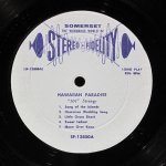 101 Strings - In A Hawaiian Paradise