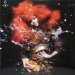 Bjork - Biophilia