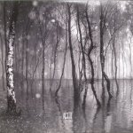 Kate Bush - Before The Dawn