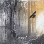 Kate Bush - Before The Dawn
