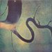 Dead Can Dance - The Serpent's Egg