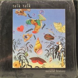 Talk Talk