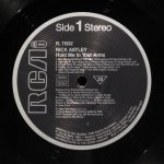 Rick Astley - Hold Me In Your Arms