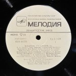 Владимир Касторский - В.А. Моцарт, М. Глинка, А. Серов, Р. Вагнер, П. Чайковский, М. Мусоргский, А. Рубинштейн, Г. Маршнер, А. Даргомыжский, А. Бородин, А. Аренский - Владимир Касторский (бас)