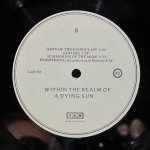 Dead Can Dance - Within The Realm Of A Dying Sun