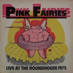 Pink Fairies