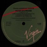 Peter Baumann - ‎Trans Harmonic Nights