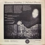 Michael Stearns - Planetary Unfolding