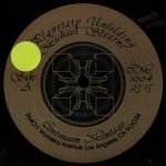 Michael Stearns - Planetary Unfolding