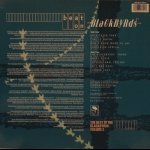 Blackbyrds - Beat On Blackbyrds (The Best Of The Blackbyrds) Volume 2
